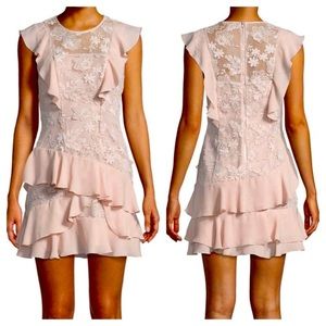 Parker Floral Lace Ruffle Trim Mini Dress Sz 0 Pearl Blush
